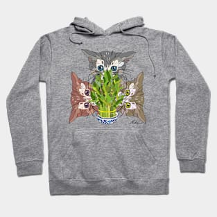 Lucky Kitten Bamboo Hoodie